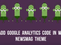 How to add Google Analytics code in WordPress Newsmag theme