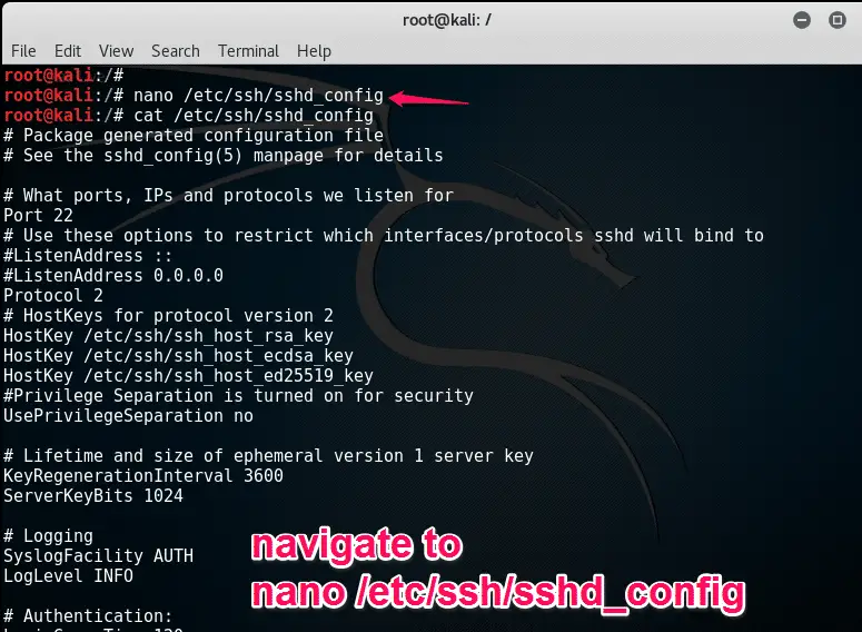 How to enable x11 forwarding in Kali Linux