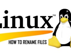 How to rename files in Linux