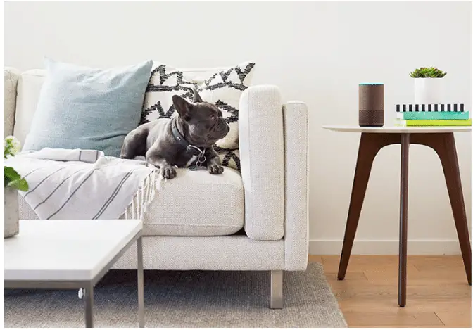 Amazon Echo 2 vs Google Home Mini: Which should you buy?
