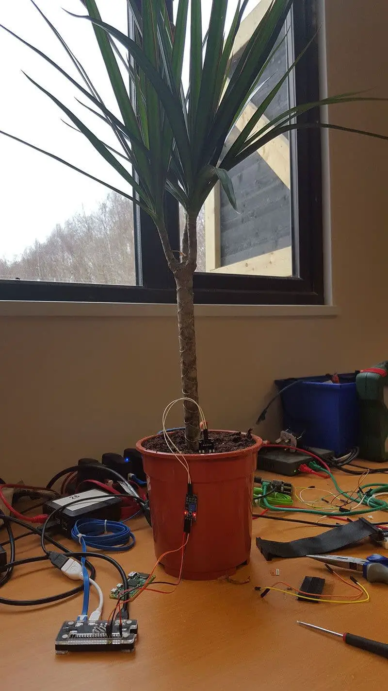 How to Build Smart Garden with Raspberry Pi using Moisture sensor