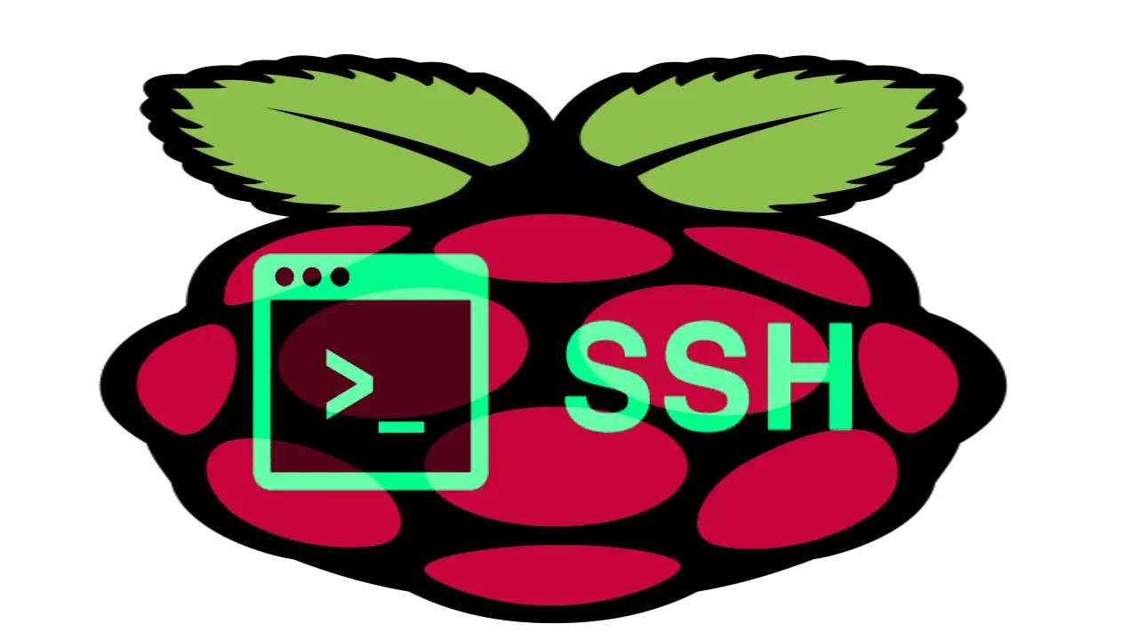 sudo apt get update not working raspberry pi