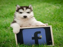 Top 6 Best Alternatives To Facebook