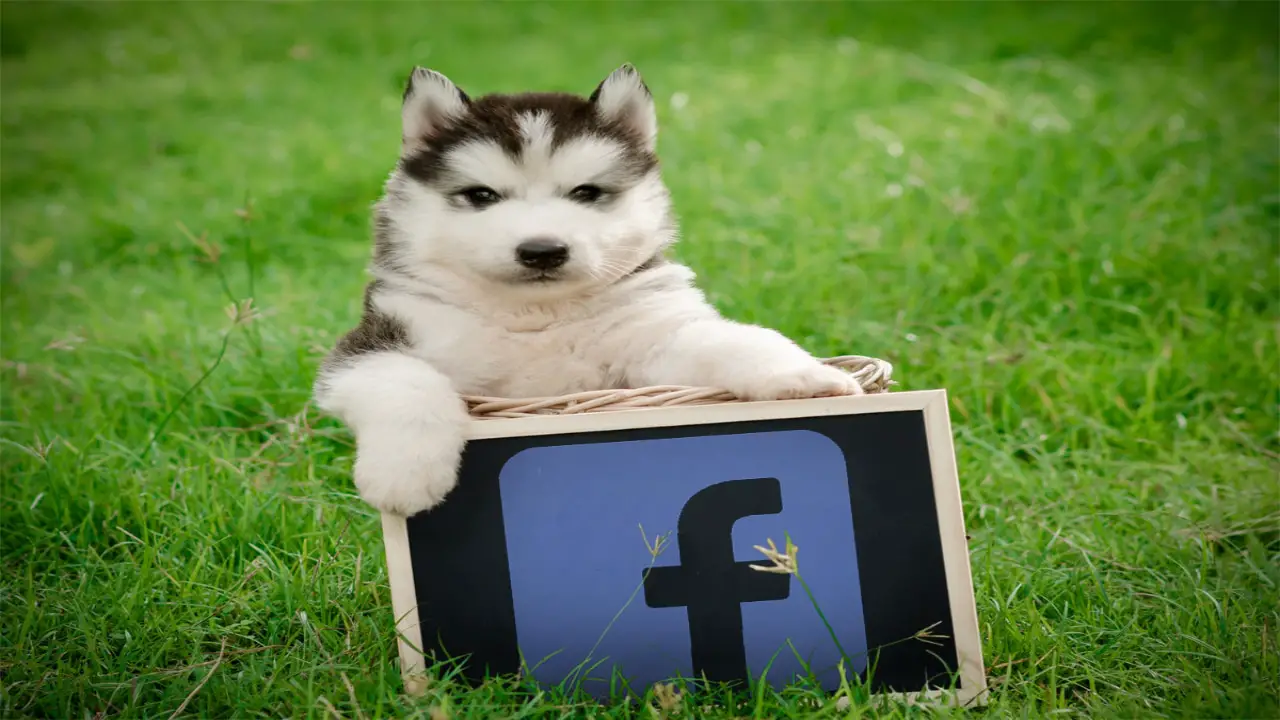 15 of the best alternatives to facebook for better privacy 
