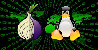 Essential dos and don’ts for Tor Network ( Detailed Guide)