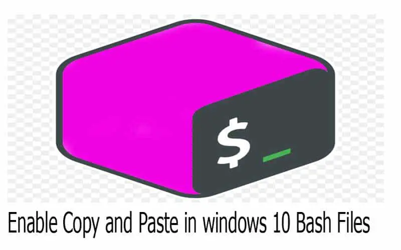 bash paste to file