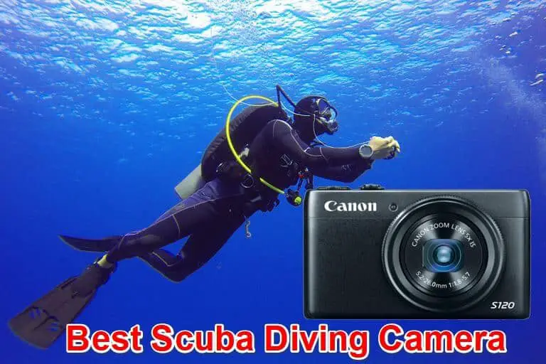 7 The Best Scuba Diving Camera in 2022 Reviewed and Rated