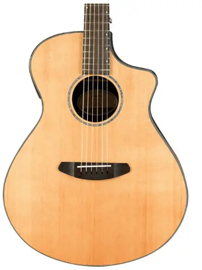 best acoustic guitar for blues