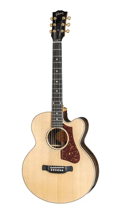 best acoustic guitar for blues