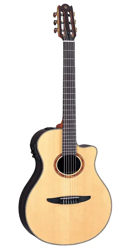 best acoustic guitar for blues