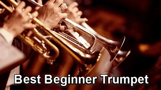 11 Best Beginner Trumpet To Buy in 2022 - Reviewed and Rated