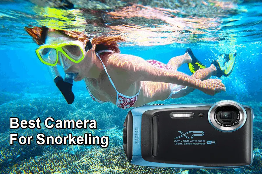 7 Best Camera For Snorkeling in 2022 Reviewed and Rated