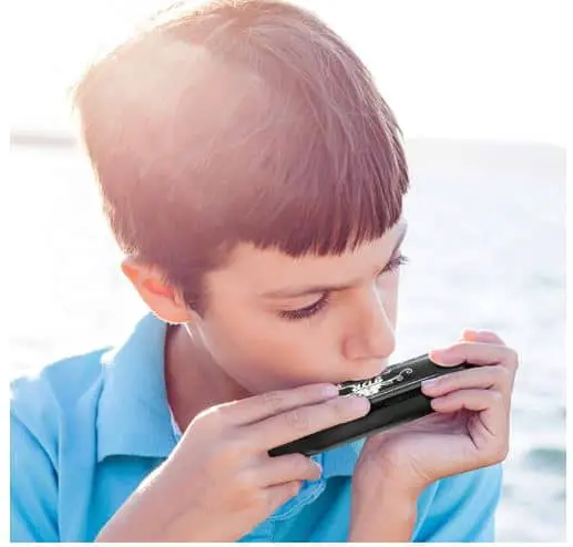 best harmonica for beginners