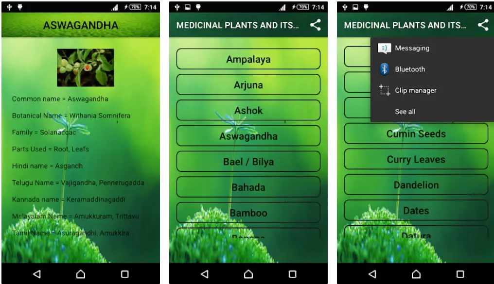 13 Of The Best Plant Identification Apps to Identify Plants