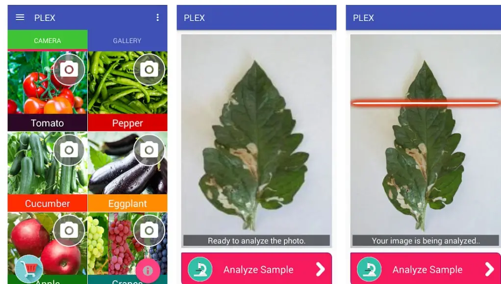 plant identification apps
