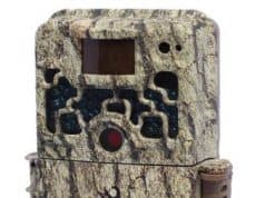 Best Cheap Trail Cameras