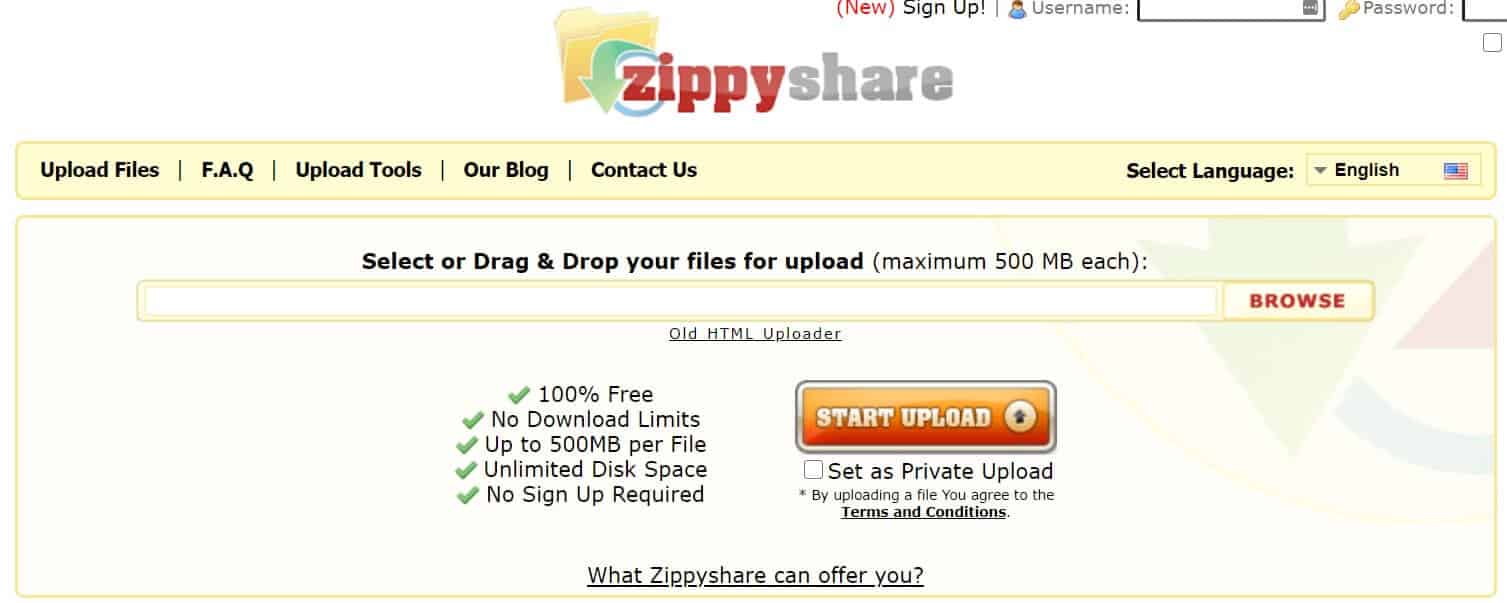 zippy search share