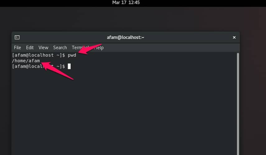 18 Linux Commands You Could Run In The Terminal