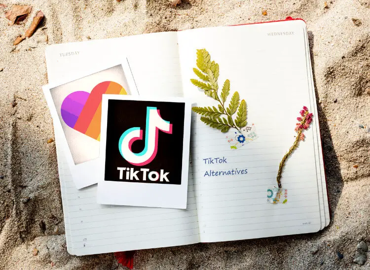 19 Of The Best TikTok Alternatives To Download Today 🤴