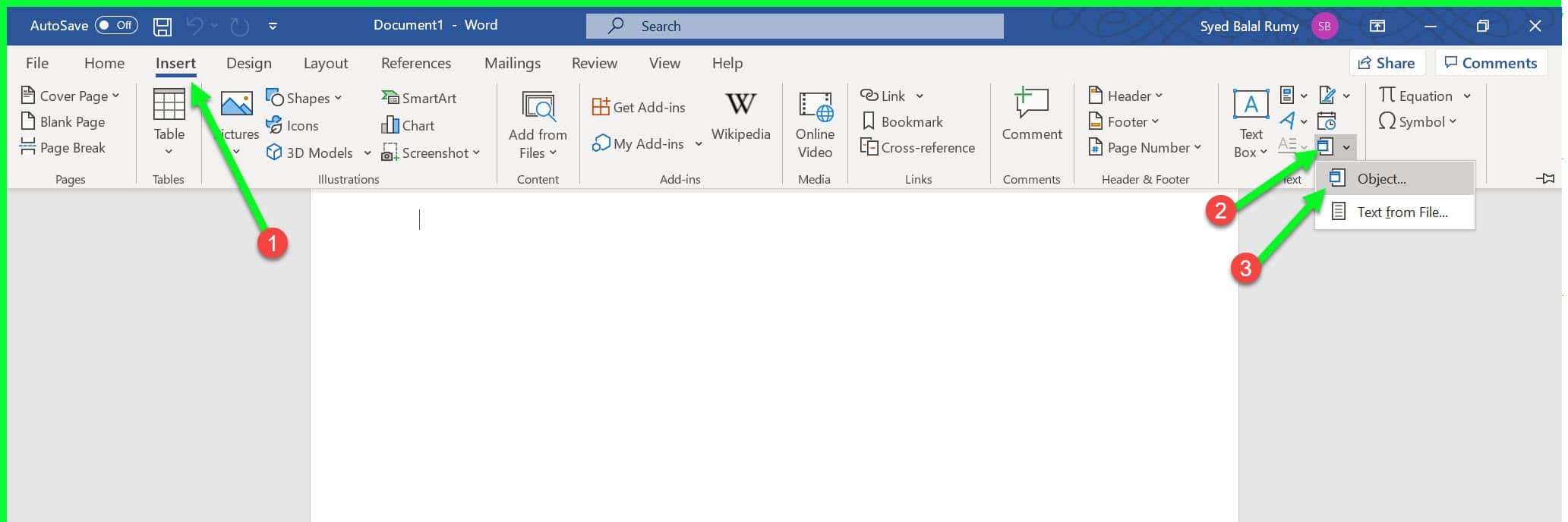 how to add pdf to word