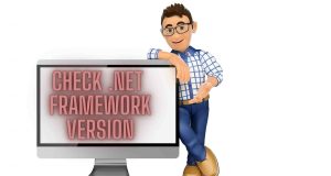 Check .NET Framework Version