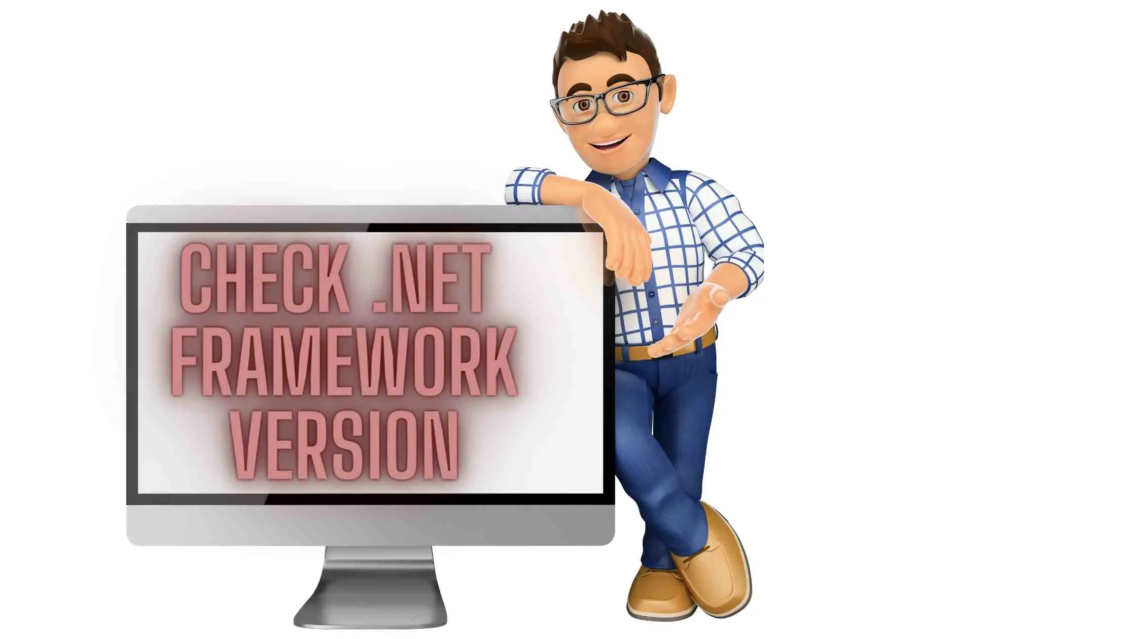 Check .NET Framework Version 