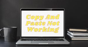 Copy And Paste Not Working