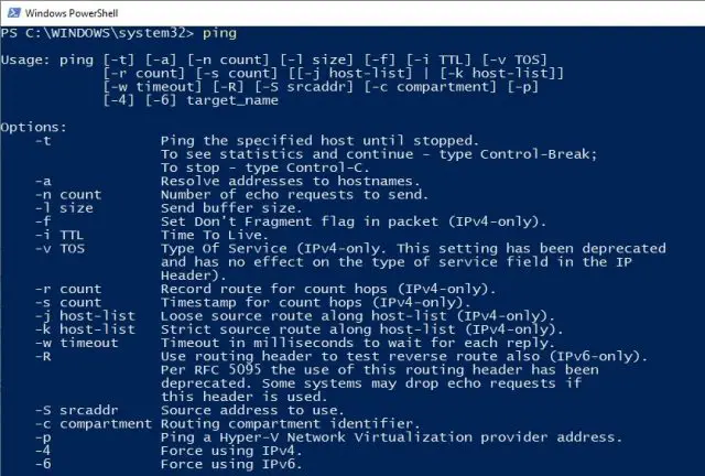 How To Ping a Website To Test The Availability of Website🤴