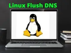 Linux Flush DNS