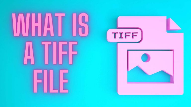 What Is a TIFF File? 🤔 Advantage and Disadvantage of TIFF