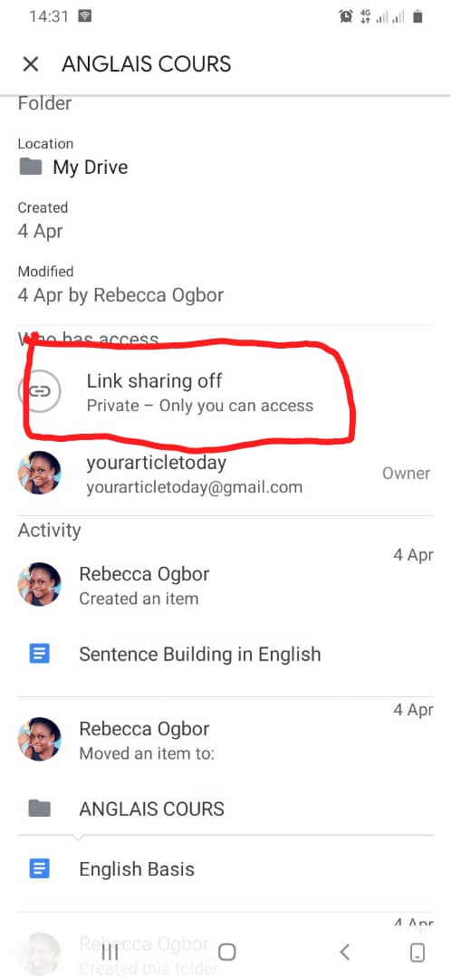 how to access google drive locked file