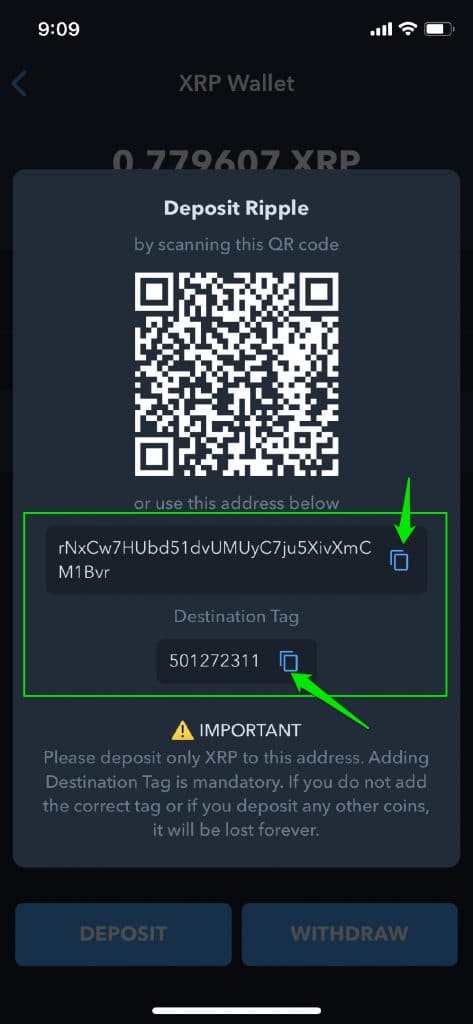 How To Receive Brave BAT Tokens Payment in India