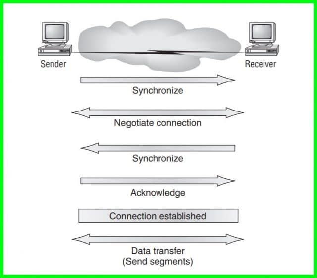 What Is The Difference Between TCP and UDP Protocol?🧐
