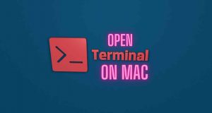 How To Open Terminal on Mac in 4 Easy Ways