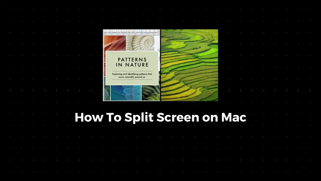 stop split screen mac