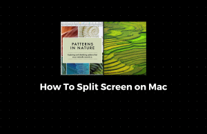 Split Screen on Mac