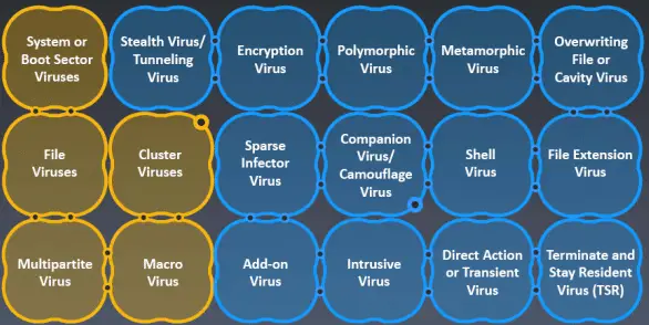 What are The Symptoms of a Computer Virus?