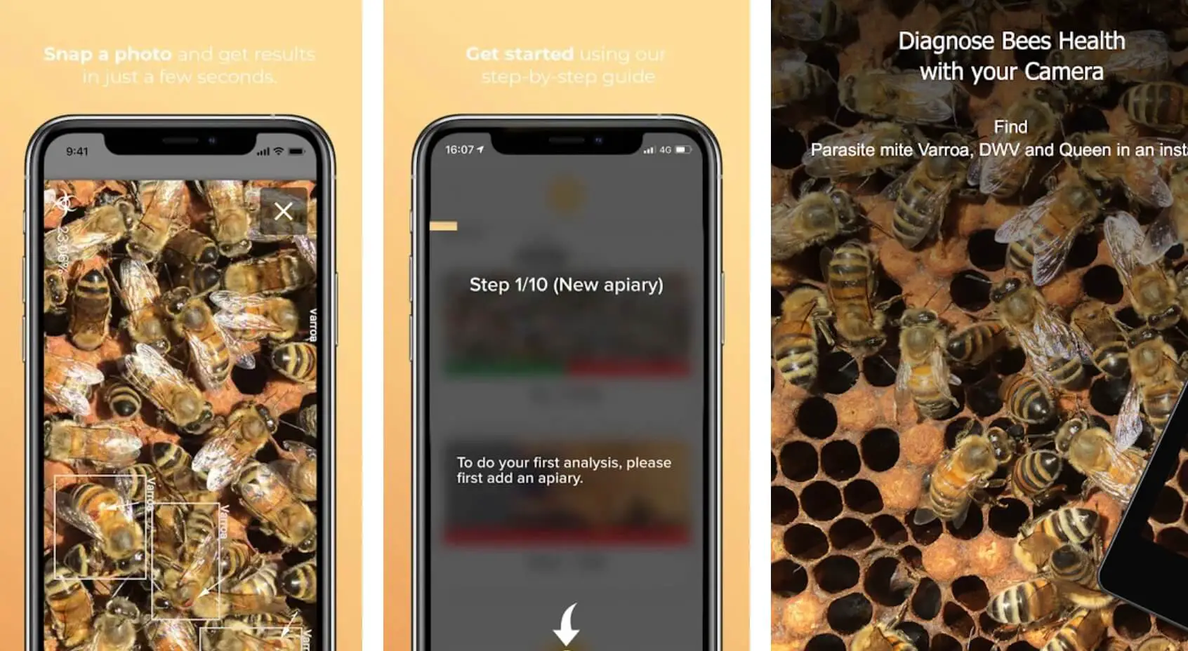 11 Best Beekeeping Apps For Android and iOS Devices