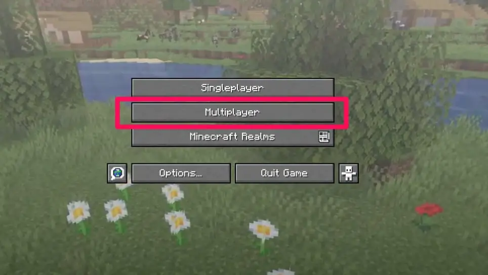 How To Play On Minecraft Servers