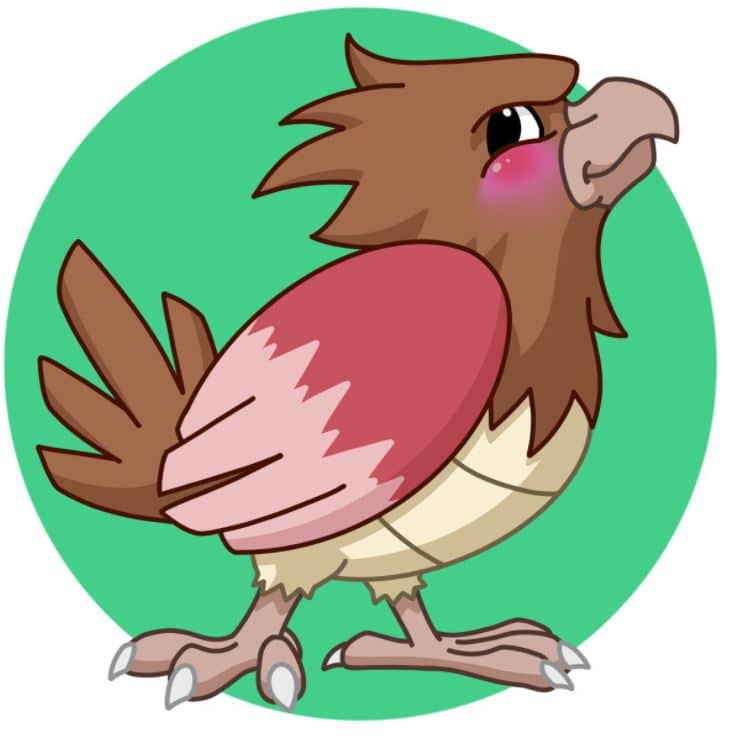 Top Bird Pokemon Of All Times 1