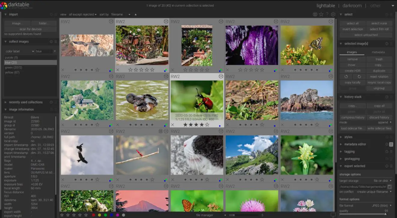 19 Best Photopea Alternatives For Advanced Image Editing