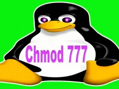 chmod777 file permission