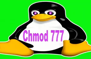 chmod777 file permission