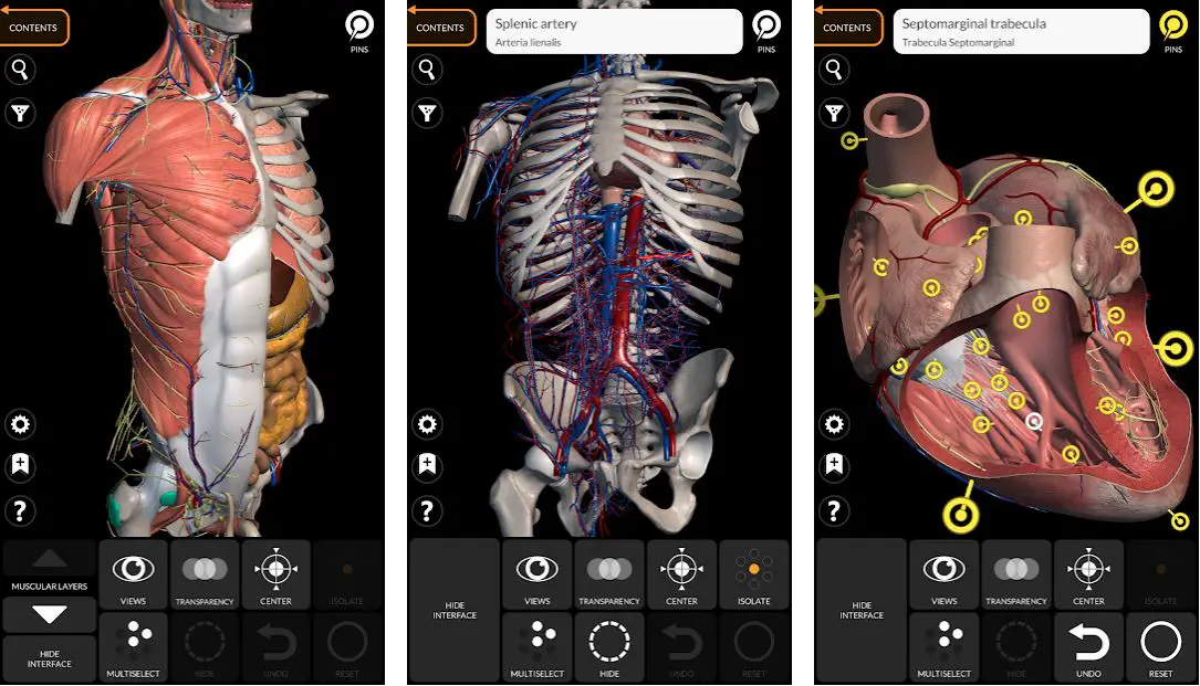 Best Anatomy Apps For Medical Students 1