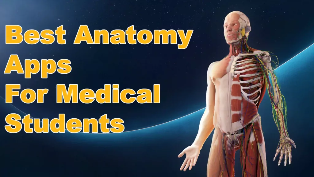 11 Of The Best Anatomy Apps For Medical Students [2022]