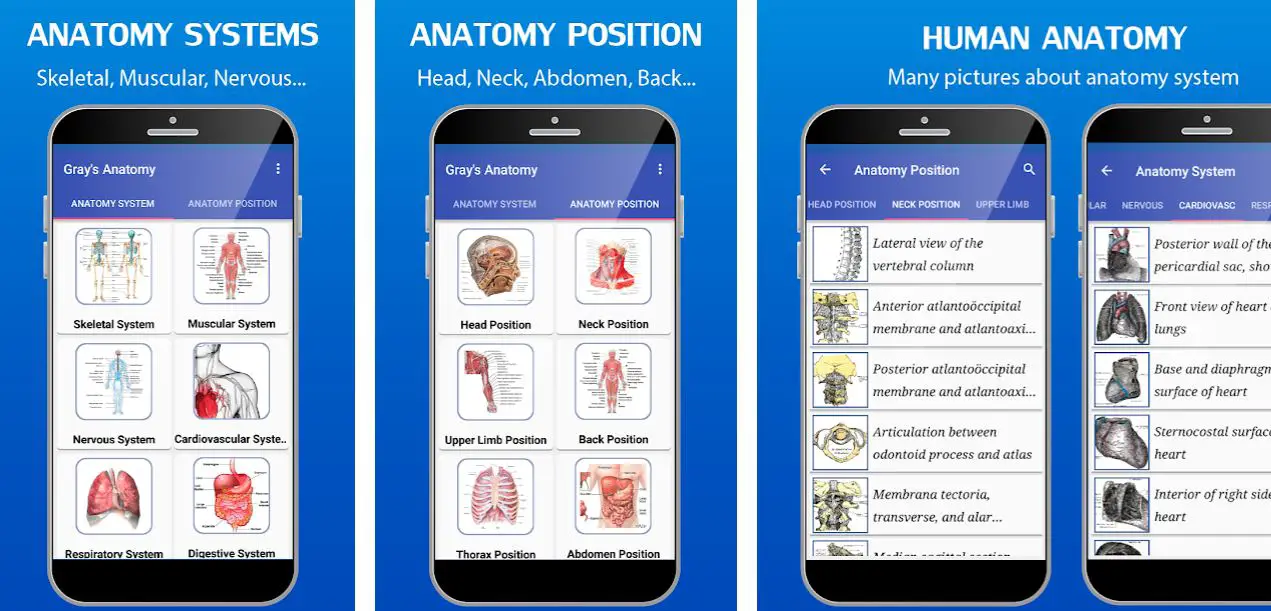 11 Best Anatomy Apps For Medical Students 