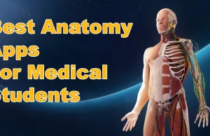 Best Anatomy Apps For Medical Students