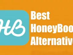 Best HoneyBook Alternatives