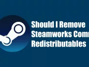 Should I Remove Steamworks Common Redistributables