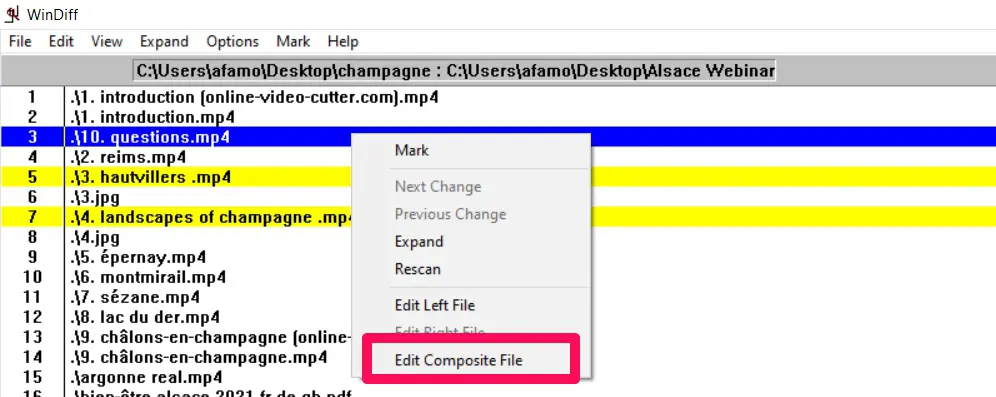 Step-By-Step Guide To Use WinDiff To Compare Files